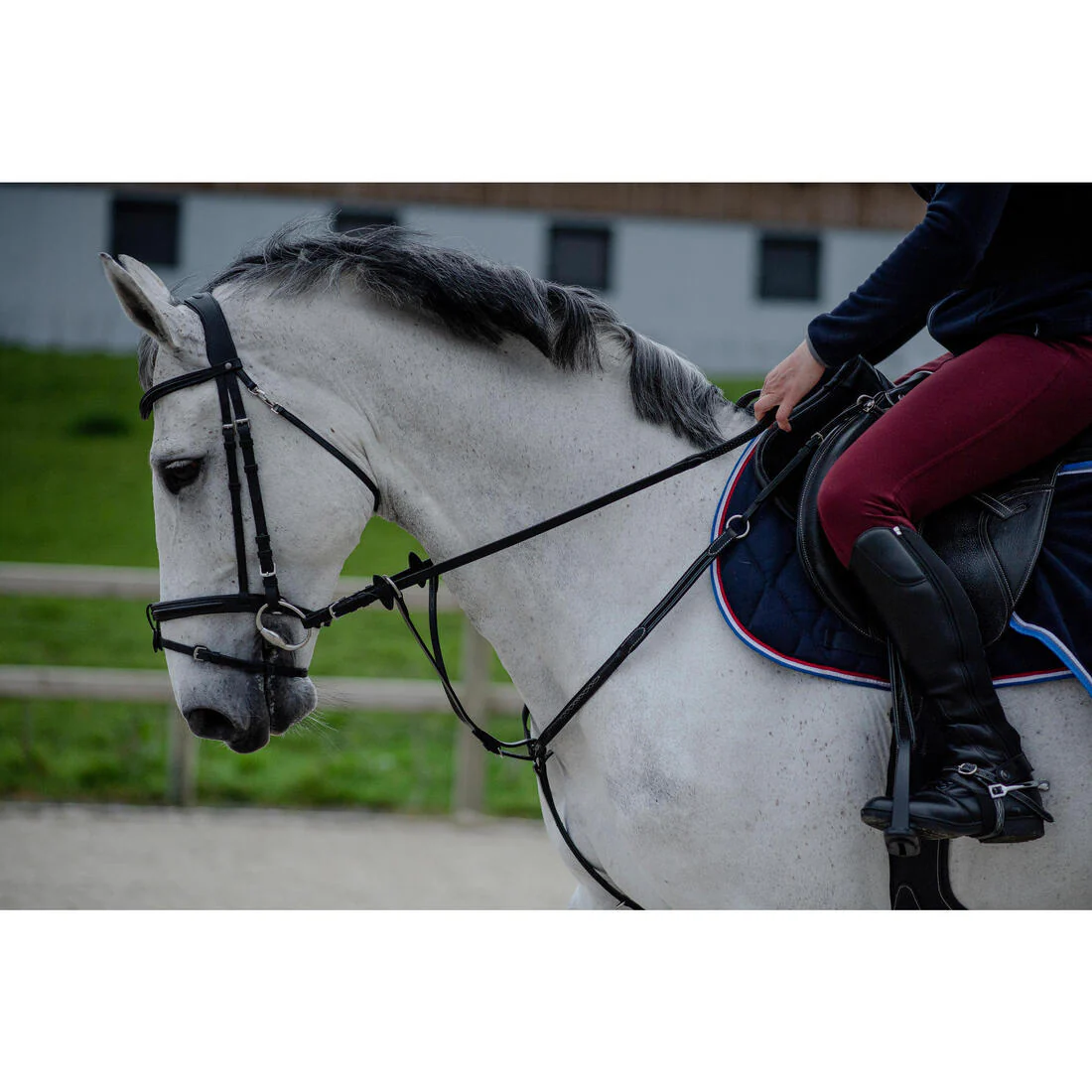 Adult Horse Riding Synthetic Half-Chaps 500 - Black - Image 6