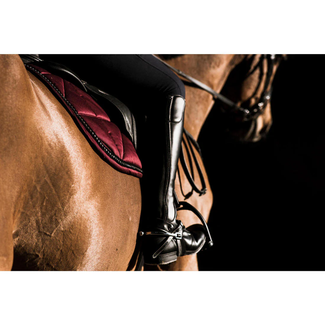 Adult Horse Riding Synthetic Half-Chaps 500 - Black - Image 7