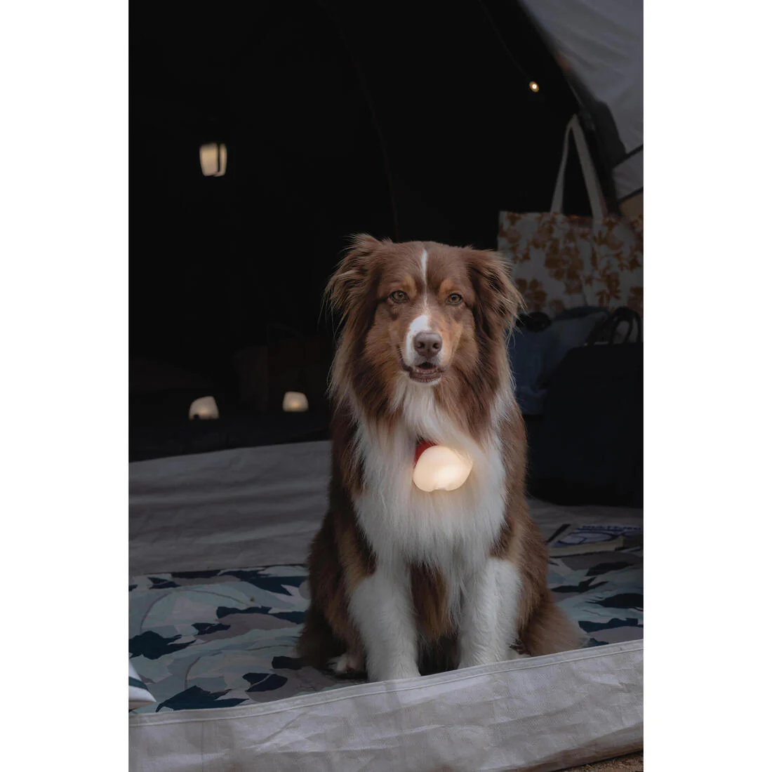 Battery-operated camping lamp, 40 lumens, BL40 - Image 9