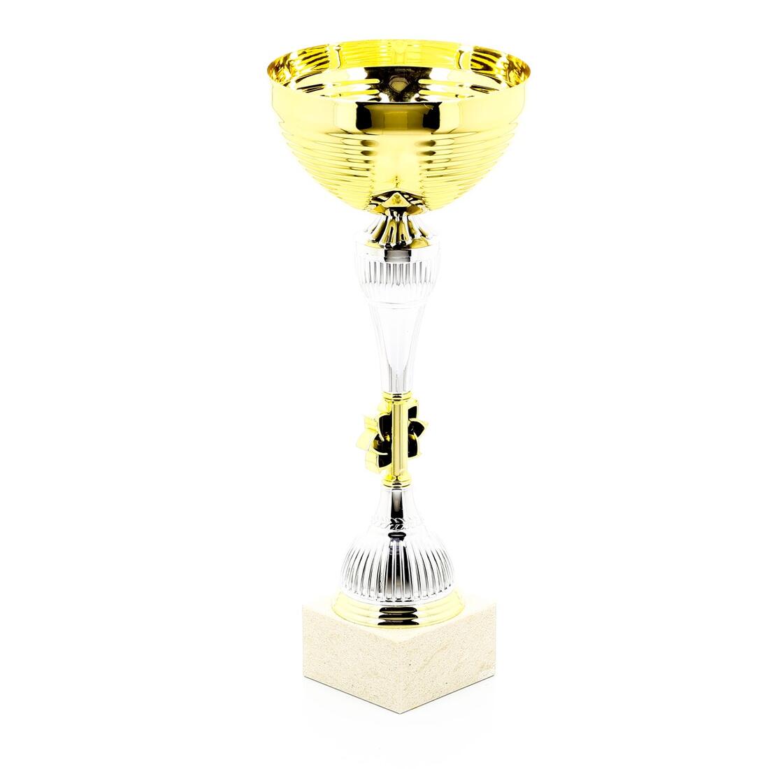 C900 Trophy 40cm - Gold/Silver - Image 18