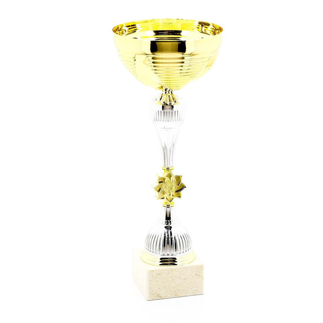 C900 Trophy 40cm - Gold/Silver - Image 4