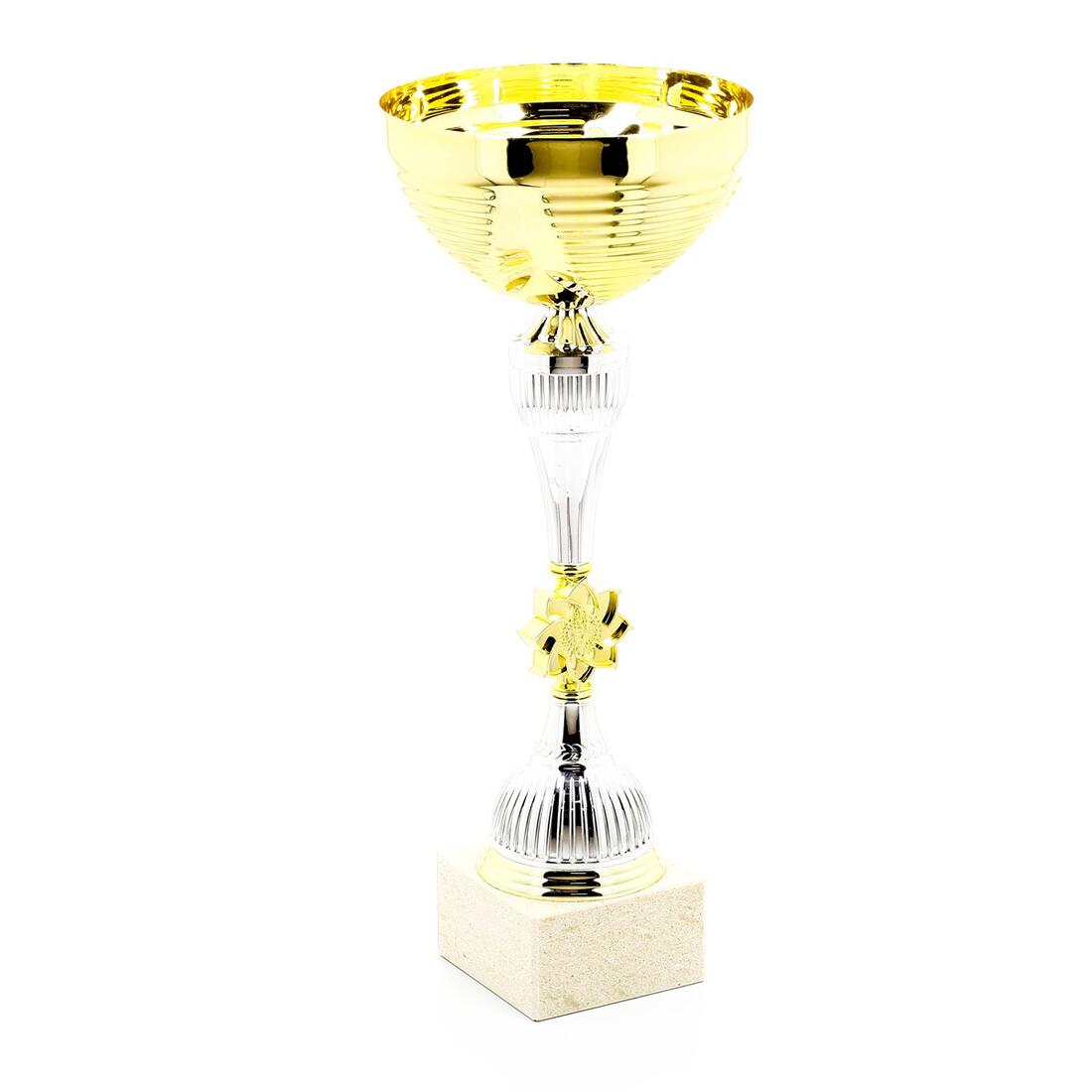 C900 Trophy 40cm - Gold/Silver - Image 5
