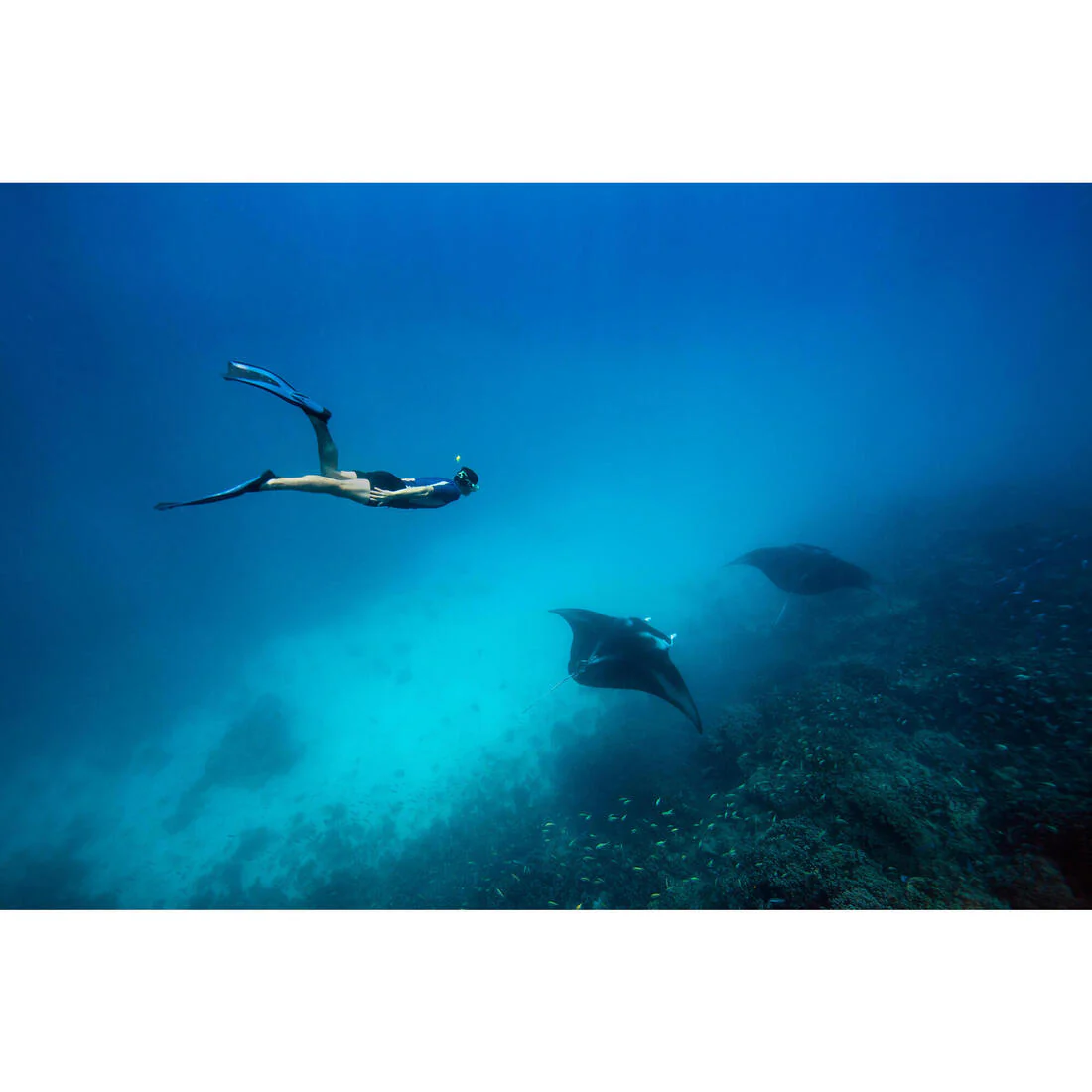 Diving fins FF 500 soft - Image 10