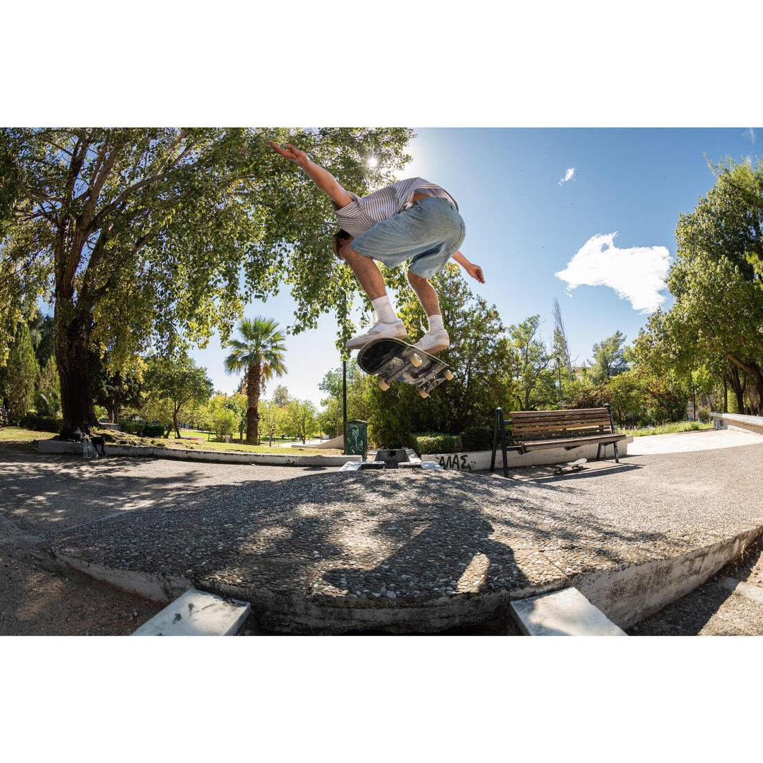 Fury Skateboard Forged Baseplate Truck Size 8"/20.32 mm - Image 18