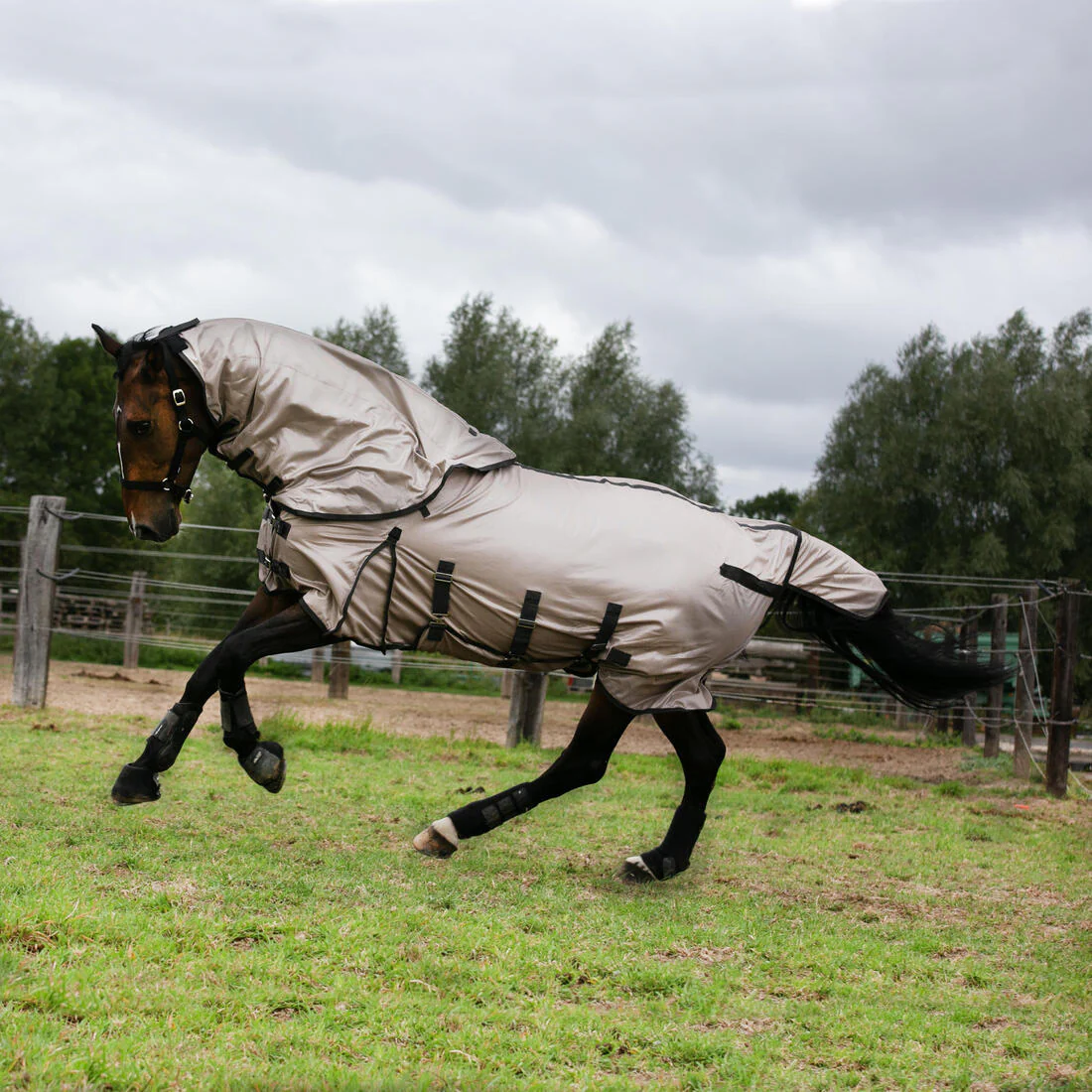Horse Riding Fly Sheet for Horse & Pony 100 - Beige - Image 9