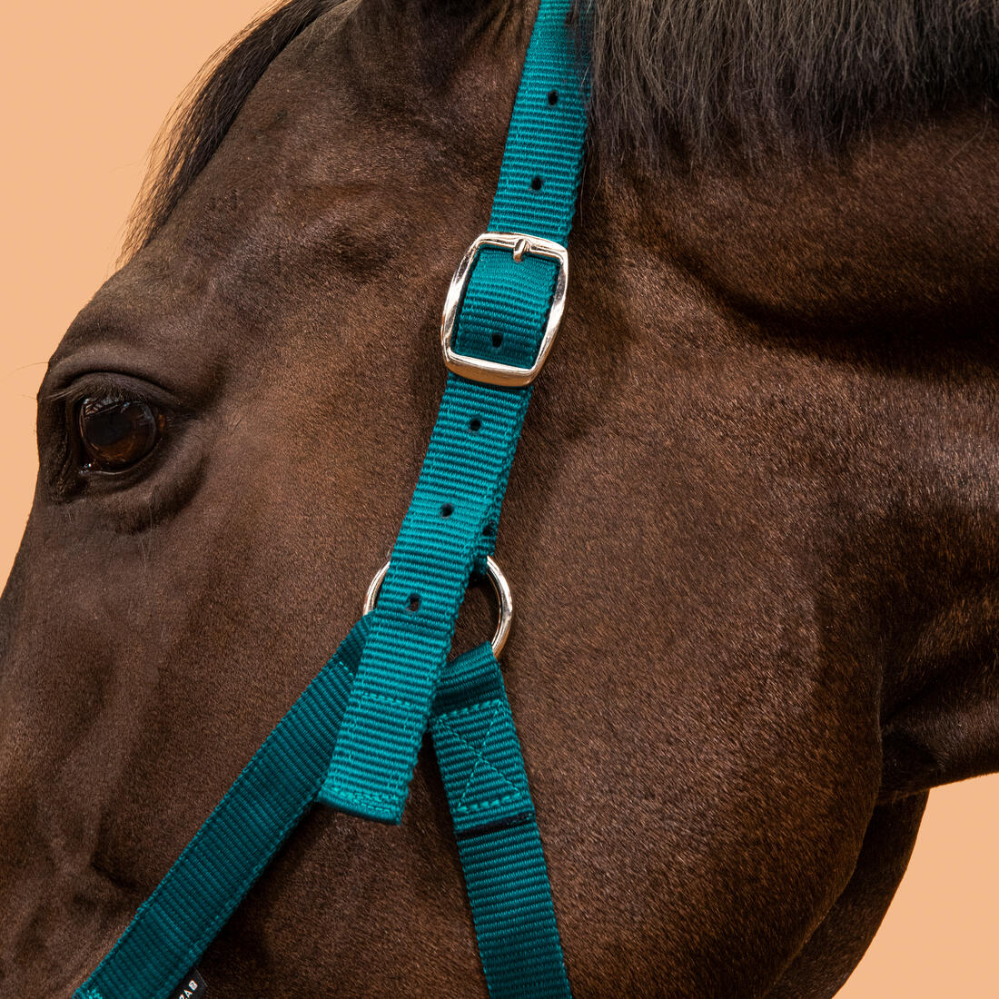 Horse Riding Halter for Horse and Pony Schooling - Image 3