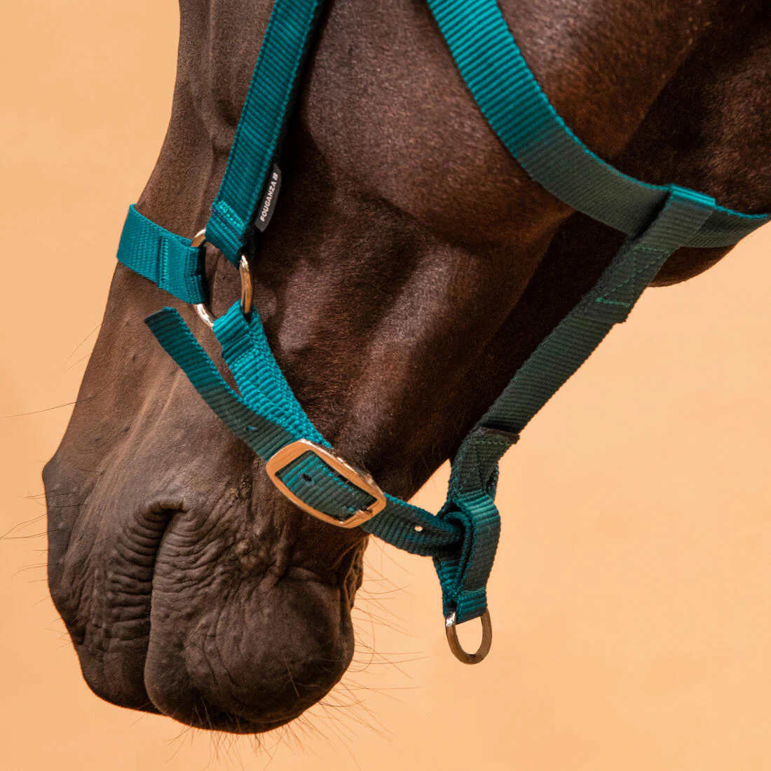 Horse Riding Halter for Horse and Pony Schooling - Image 4