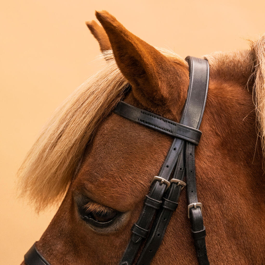 Horse Riding Leather Bridle With French Noseband & Reins for Horse & Pony 100 - Image 11