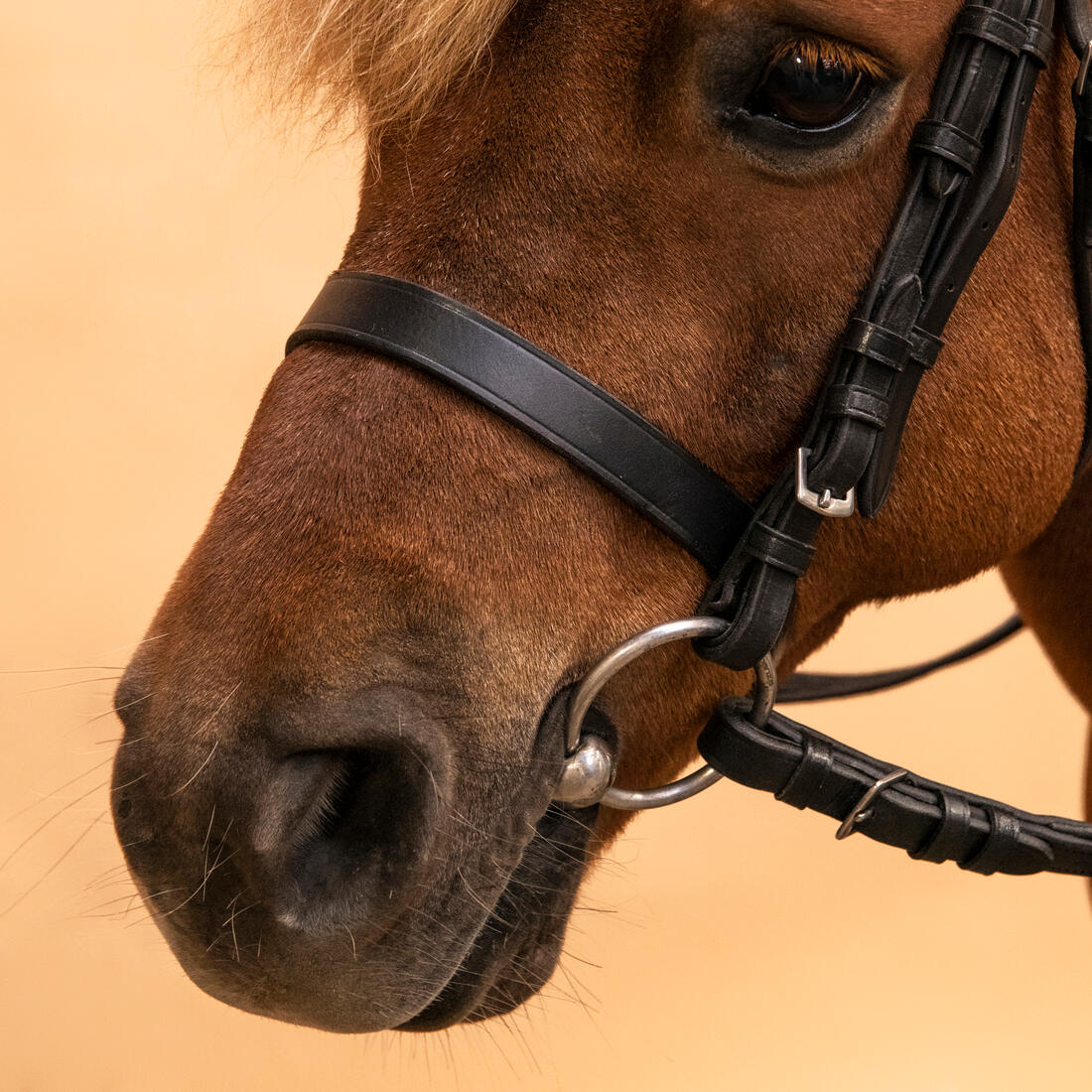 Horse Riding Leather Bridle With French Noseband & Reins for Horse & Pony 100 - Image 13