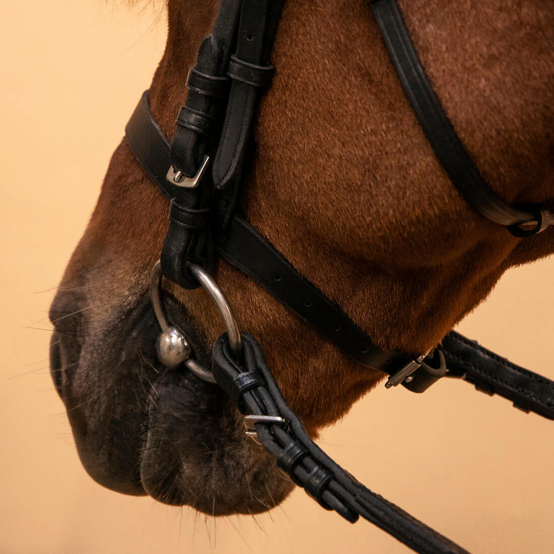 Horse Riding Leather Bridle With French Noseband & Reins for Horse & Pony 100 - Image 14