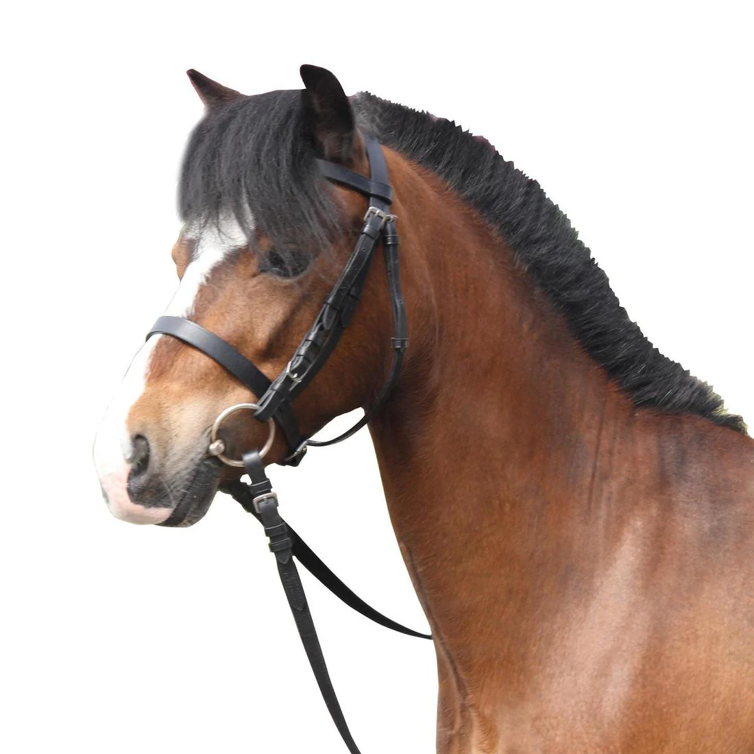 Horse Riding Leather Bridle With French Noseband & Reins for Horse & Pony 100 - Image 20