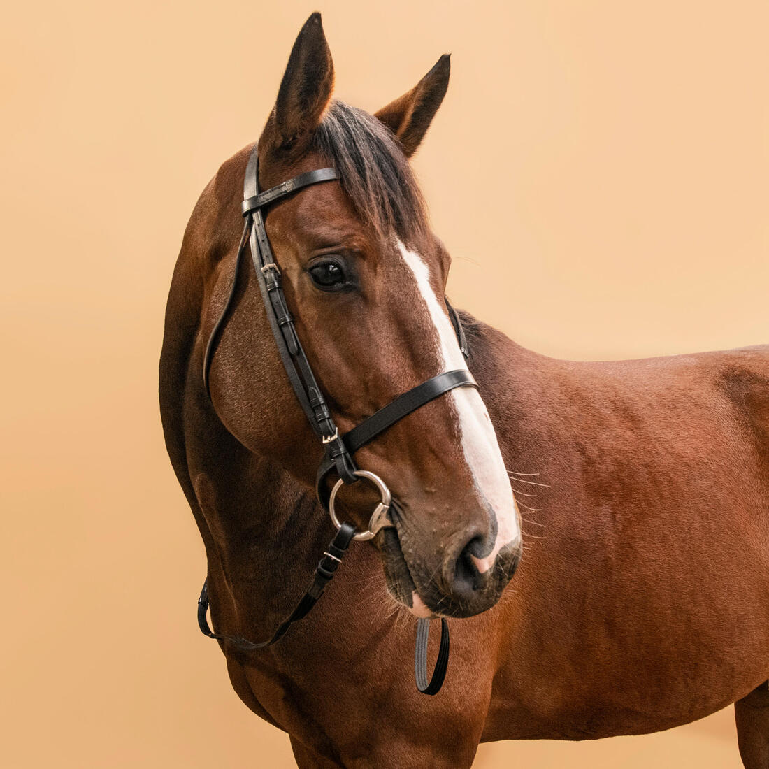 Horse Riding Leather Bridle With French Noseband & Reins for Horse & Pony 100 - Image 3