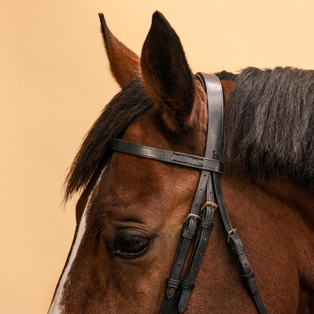 Horse Riding Leather Bridle With French Noseband & Reins for Horse & Pony 100 - Image 4