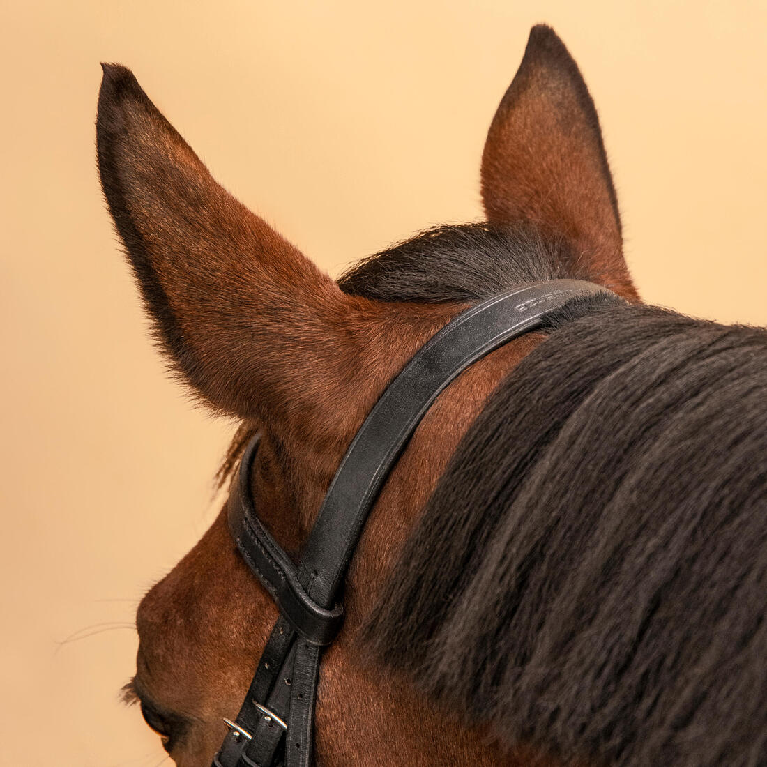 Horse Riding Leather Bridle With French Noseband & Reins for Horse & Pony 100 - Image 5