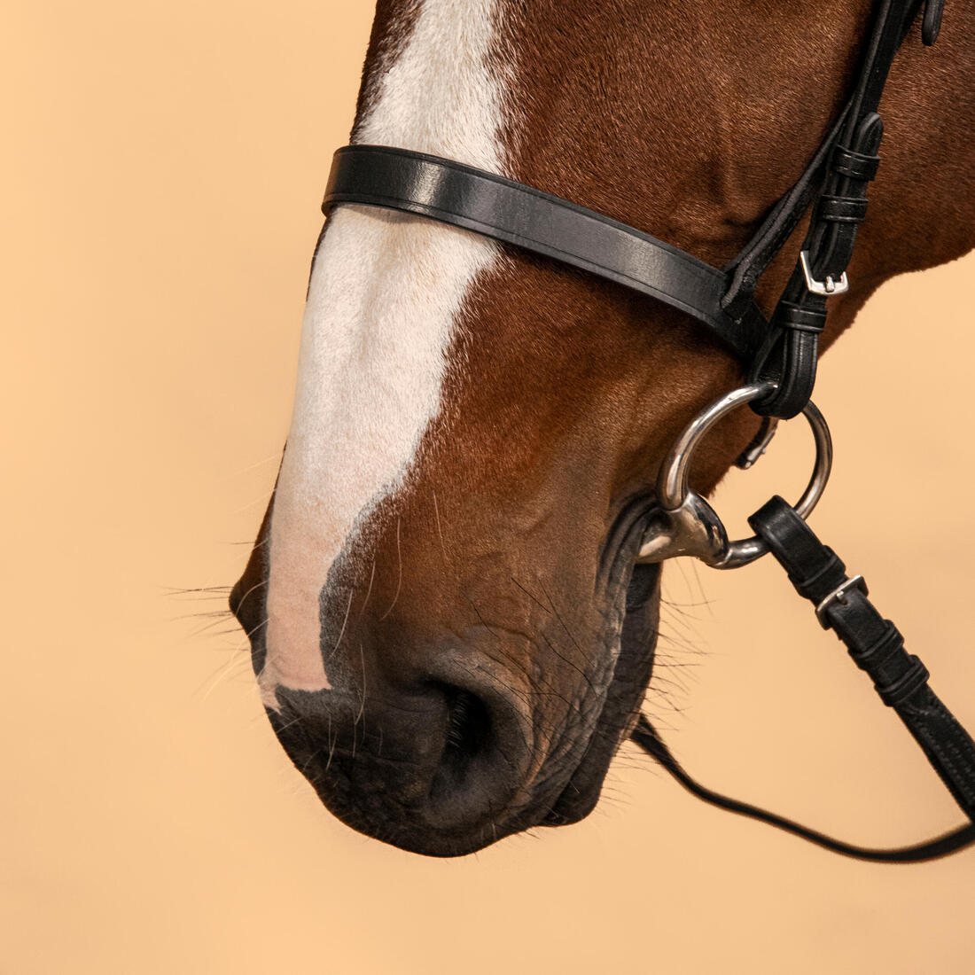 Horse Riding Leather Bridle With French Noseband & Reins for Horse & Pony 100 - Image 6