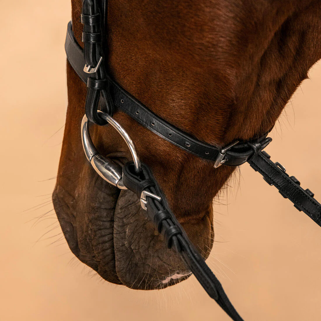 Horse Riding Leather Bridle With French Noseband & Reins for Horse & Pony 100 - Image 7