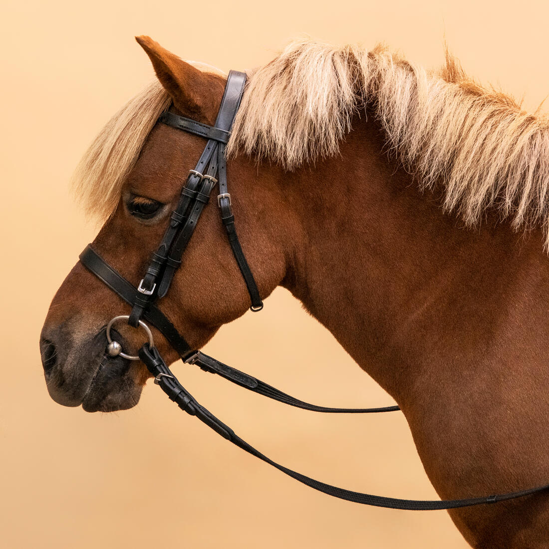 Horse Riding Leather Bridle With French Noseband & Reins for Horse & Pony 100 - Image 8