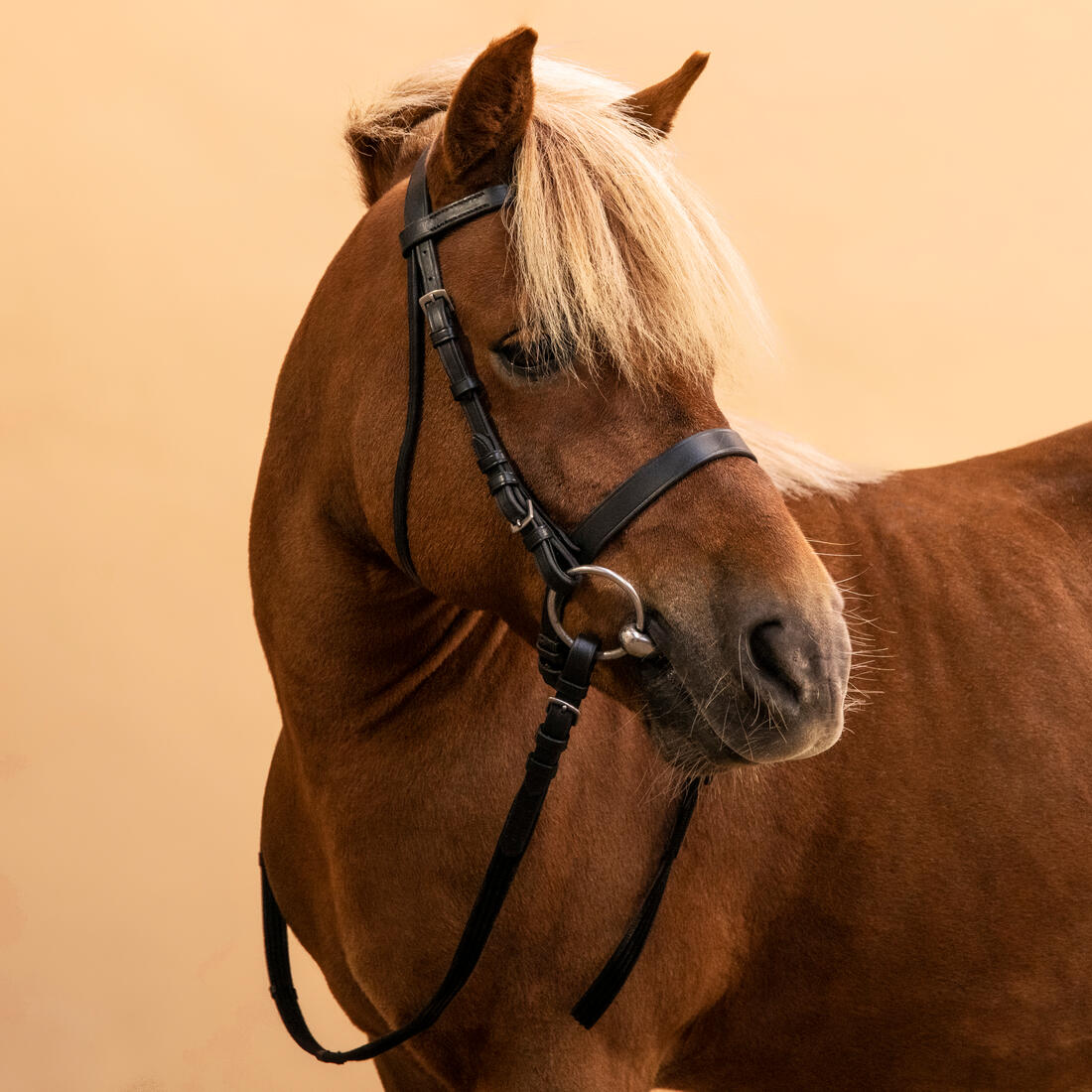 Horse Riding Leather Bridle With French Noseband & Reins for Horse & Pony 100 - Image 9