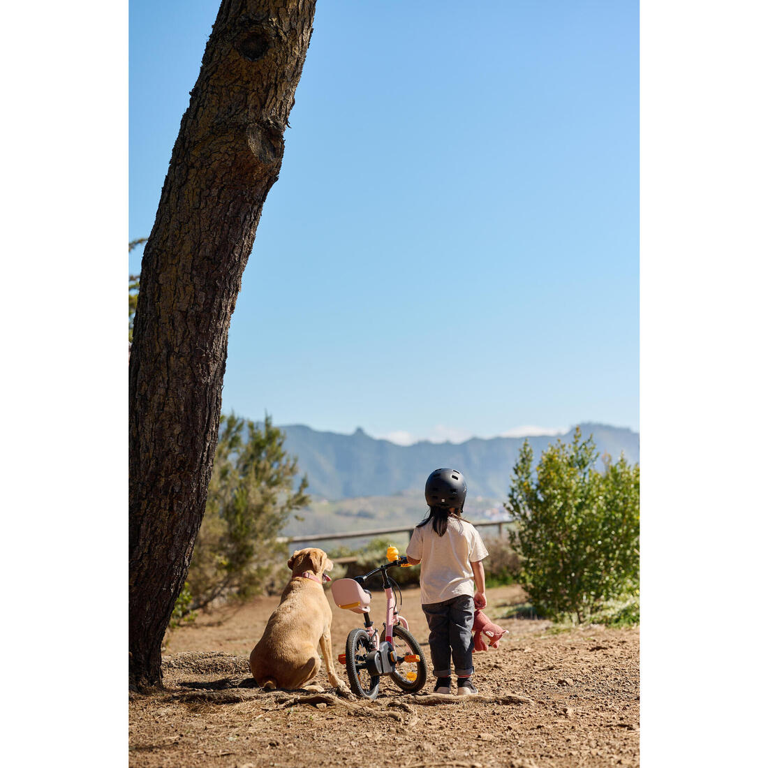 Kids' 3-5 Years 2-in-1 14-Inch Balance Bike Discover 500 - Image 37