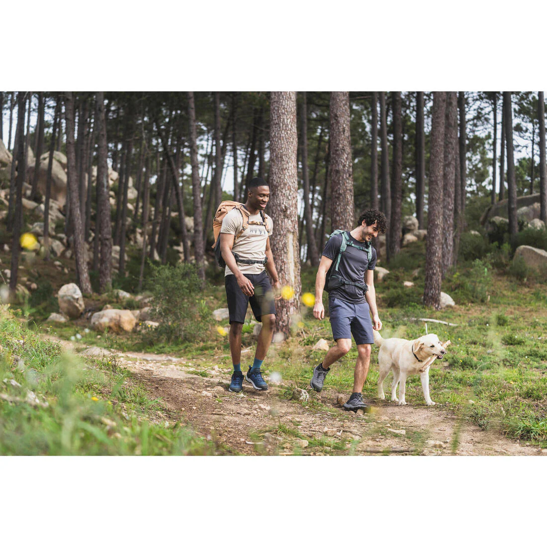 Men’s long hiking shorts, MH500 - Image 15