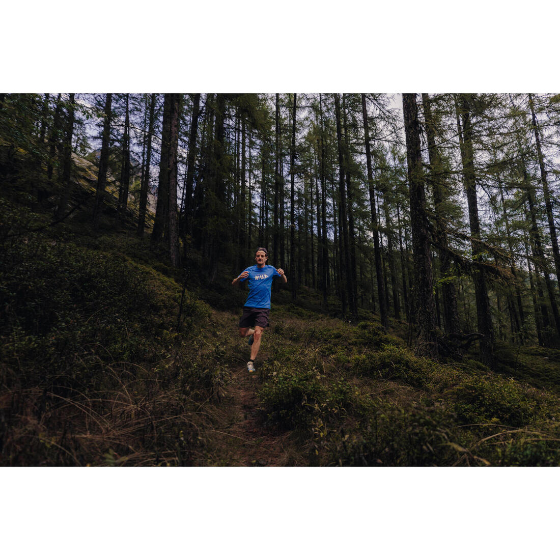 Men's Trail Running Resistant T-Shirt KIPRUN Run 500 Graph - Image 9