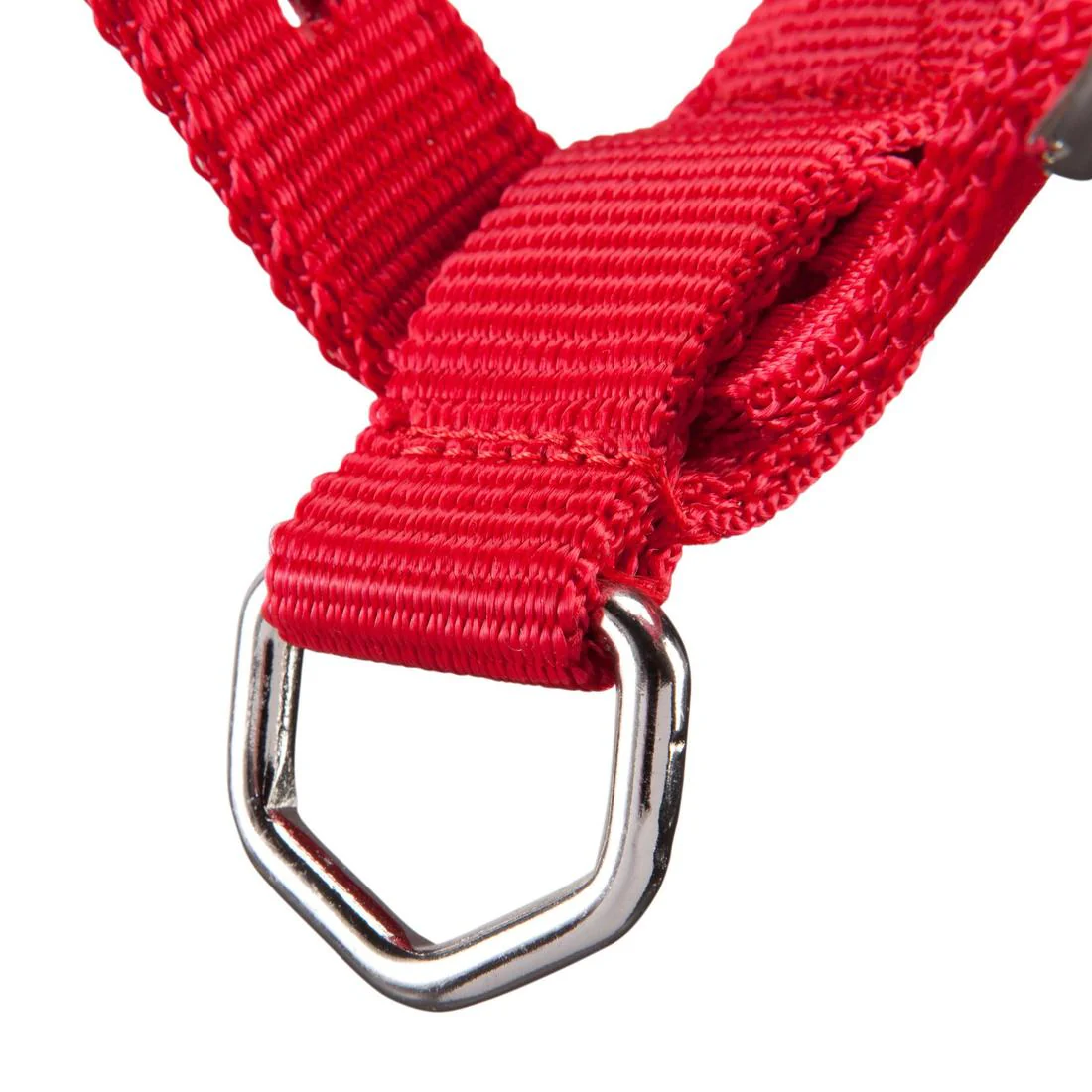 Schooling Horse Riding Halter for Horse and Pony - Image 10