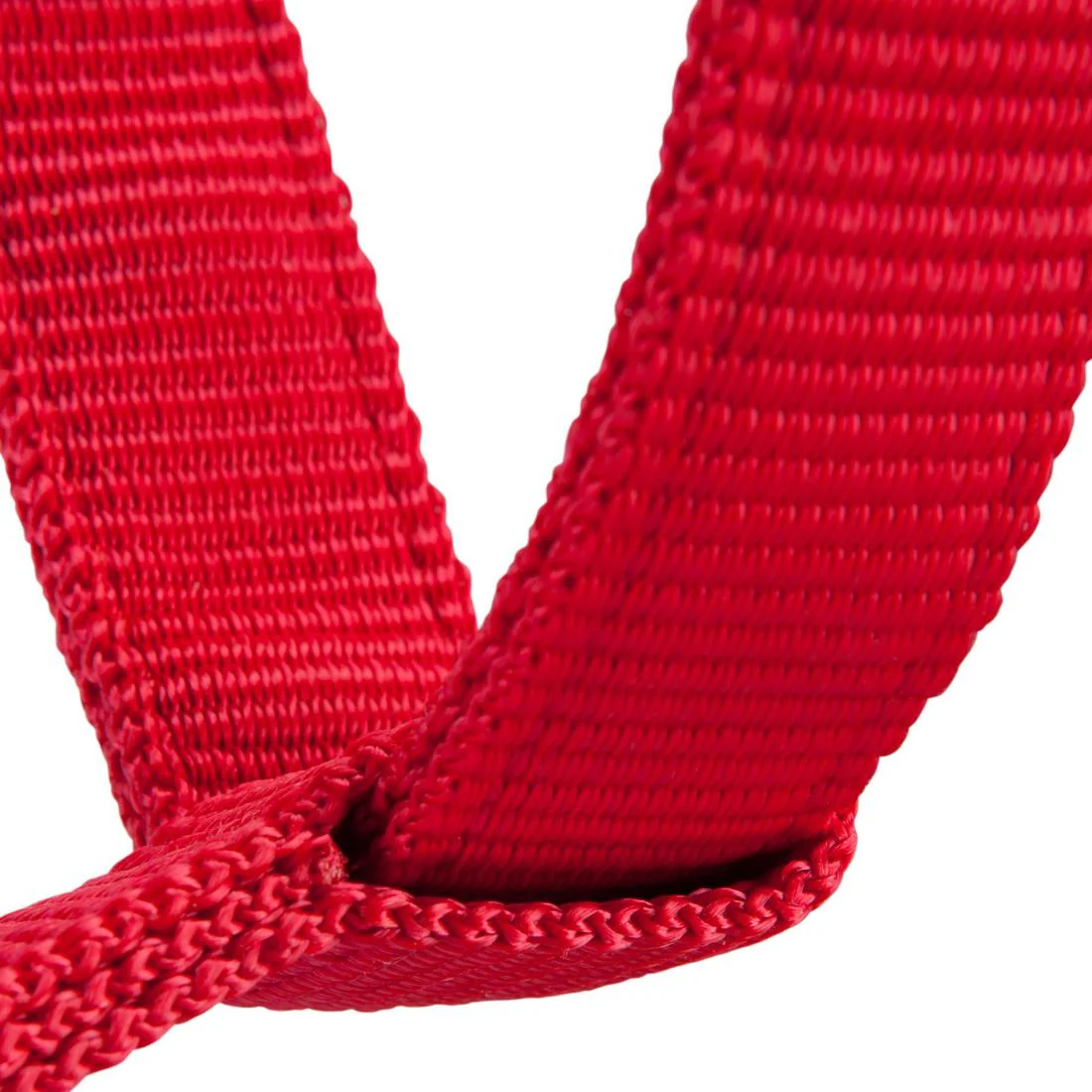 Schooling Horse Riding Halter for Horse and Pony - Image 12