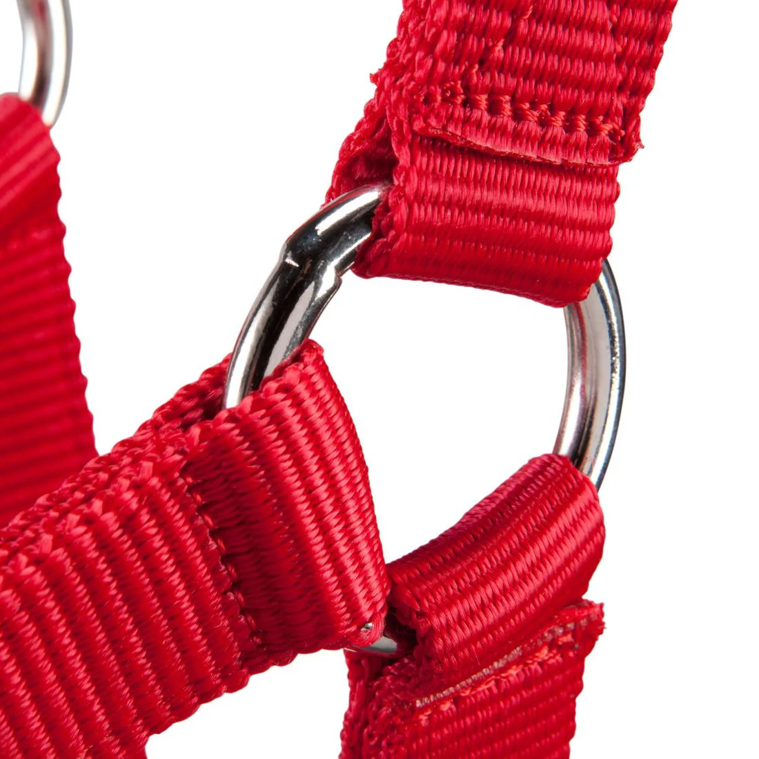 Schooling Horse Riding Halter for Horse and Pony - Image 15