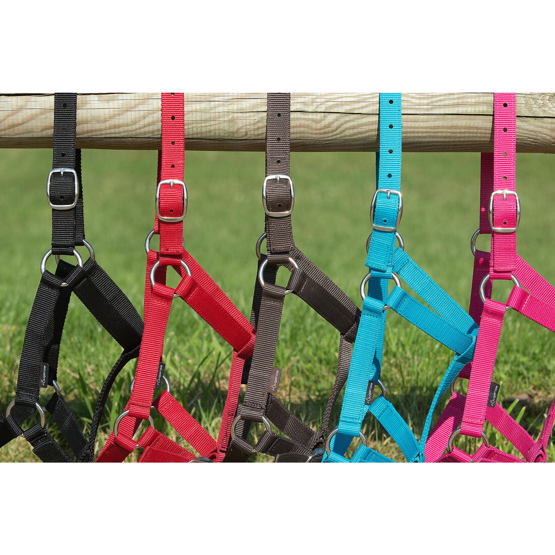 Schooling Horse Riding Halter for Horse and Pony - Image 18