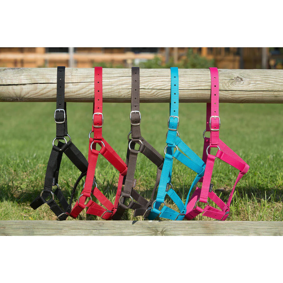 Schooling Horse Riding Halter for Horse and Pony - Image 20