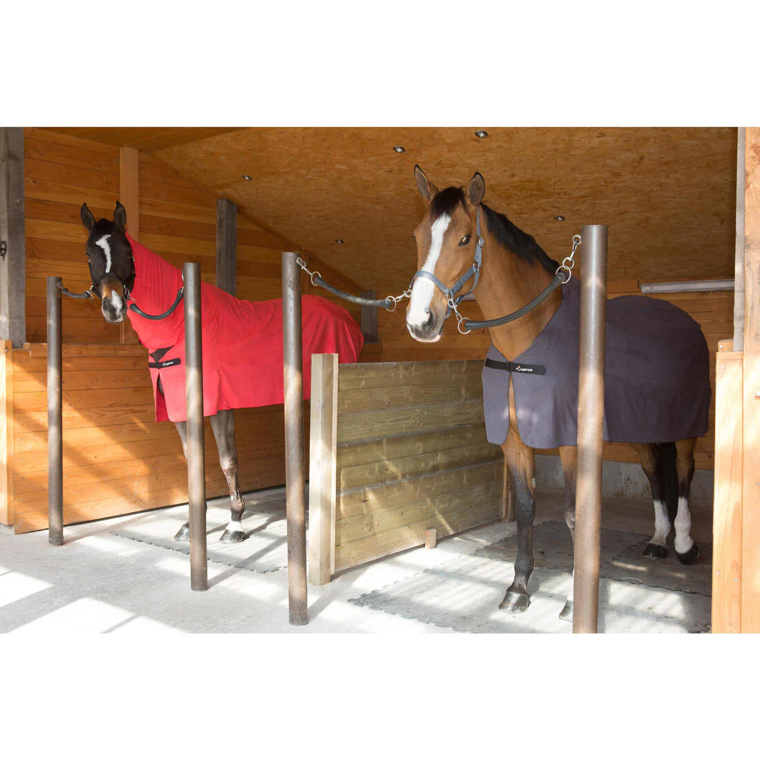 Schooling Horse Riding Halter for Horse and Pony - Image 21