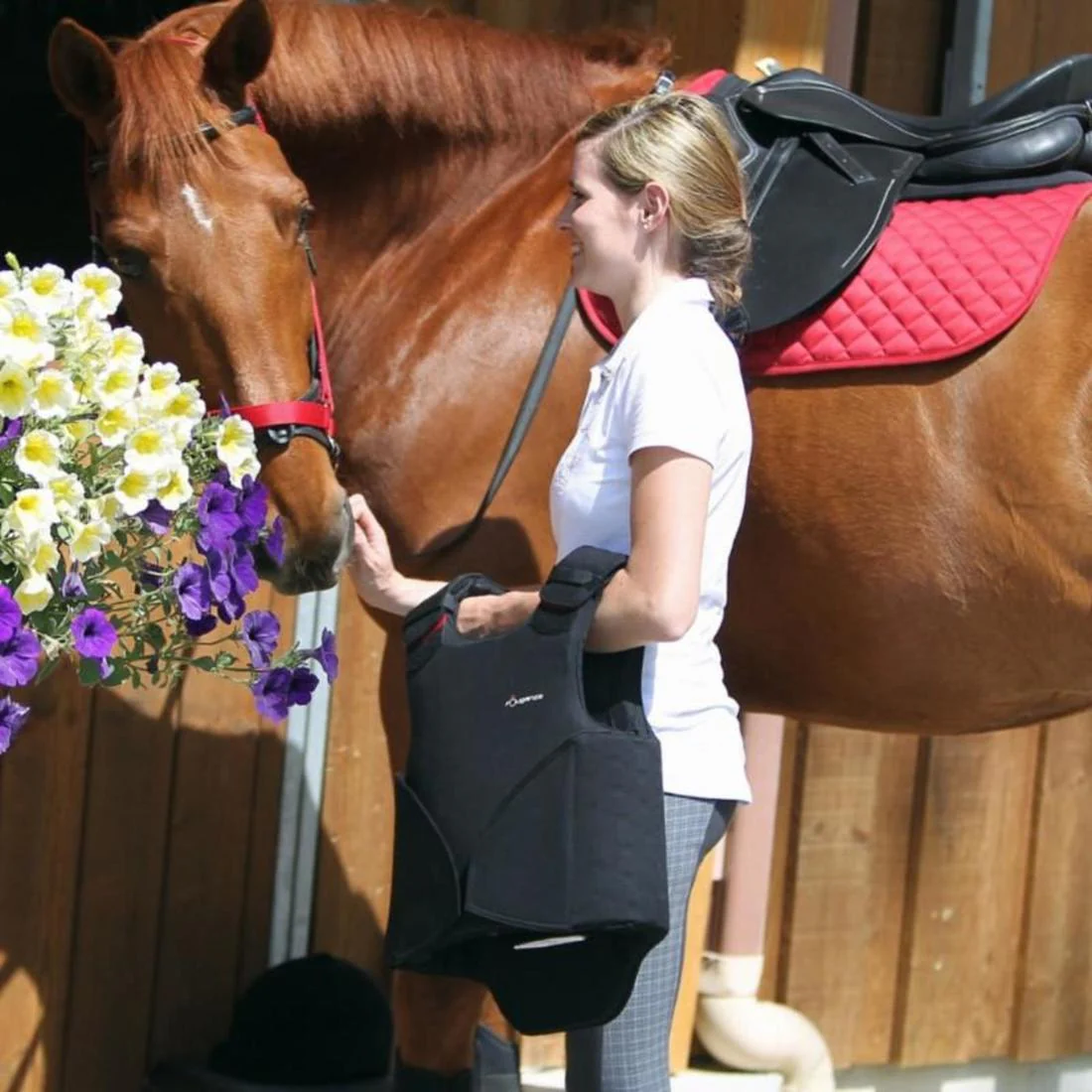 Schooling Horse Riding Halter for Horse and Pony - Image 22