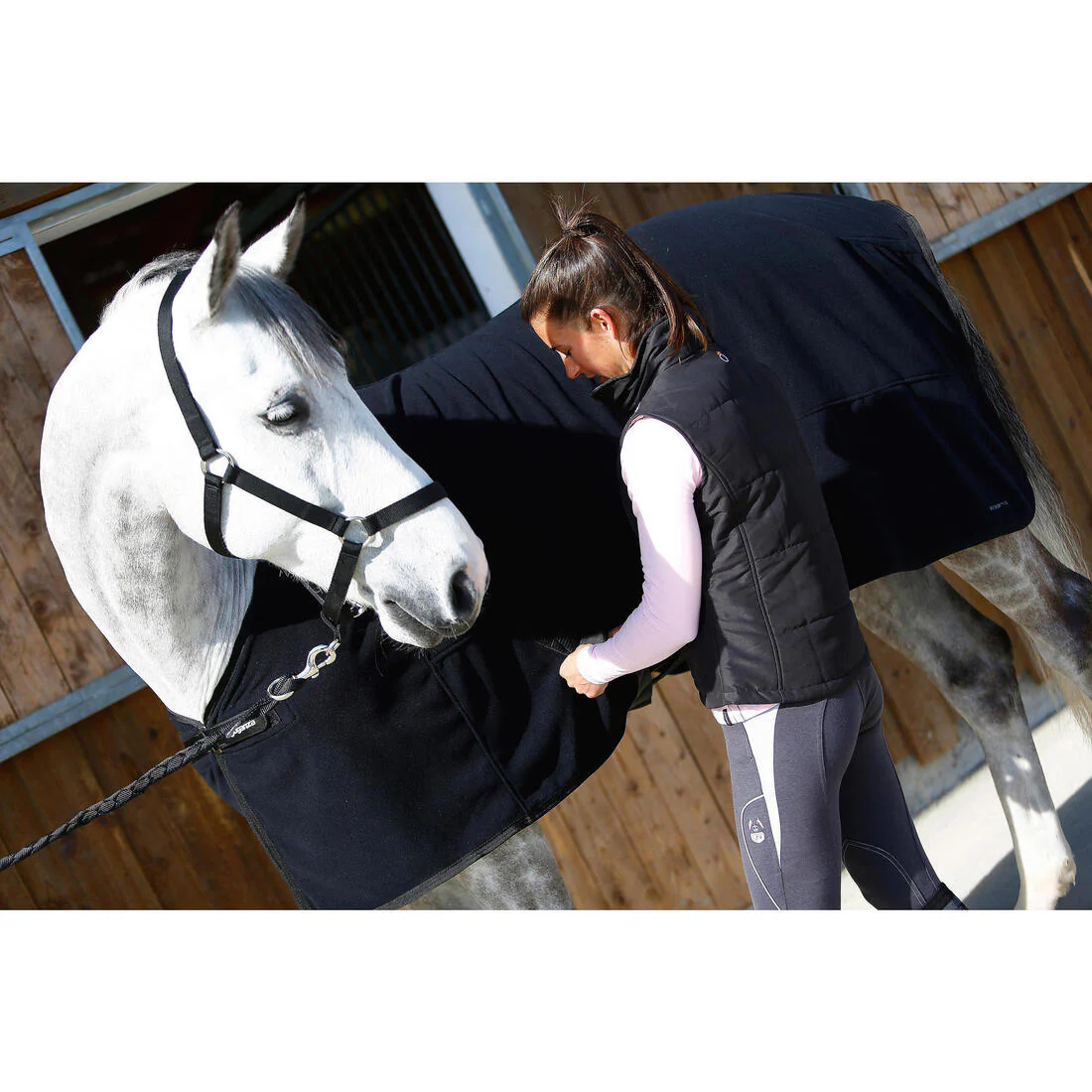 Schooling Horse Riding Halter for Horse and Pony - Image 23