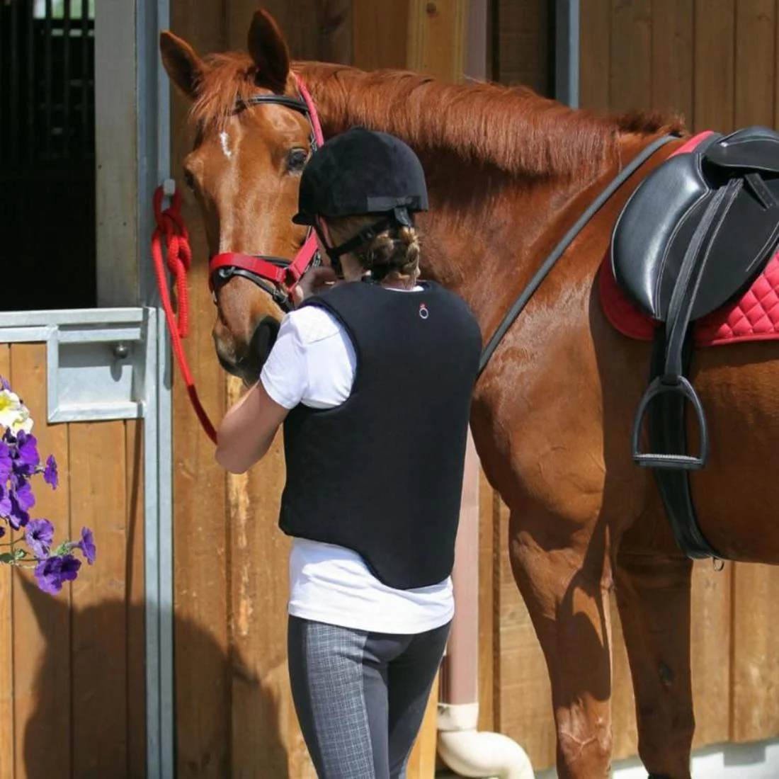 Schooling Horse Riding Halter for Horse and Pony - Image 24