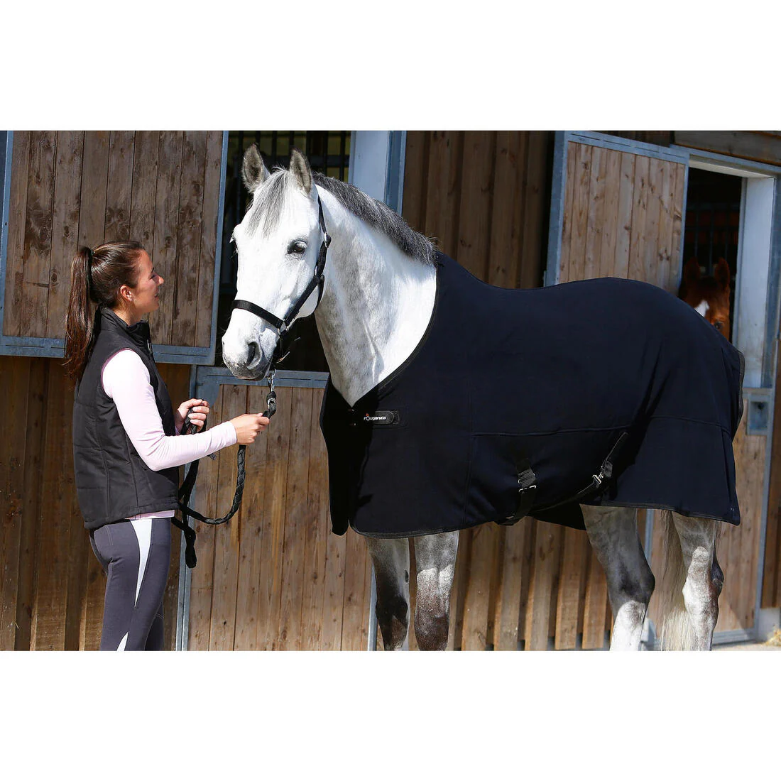 Schooling Horse Riding Halter for Horse and Pony - Image 27