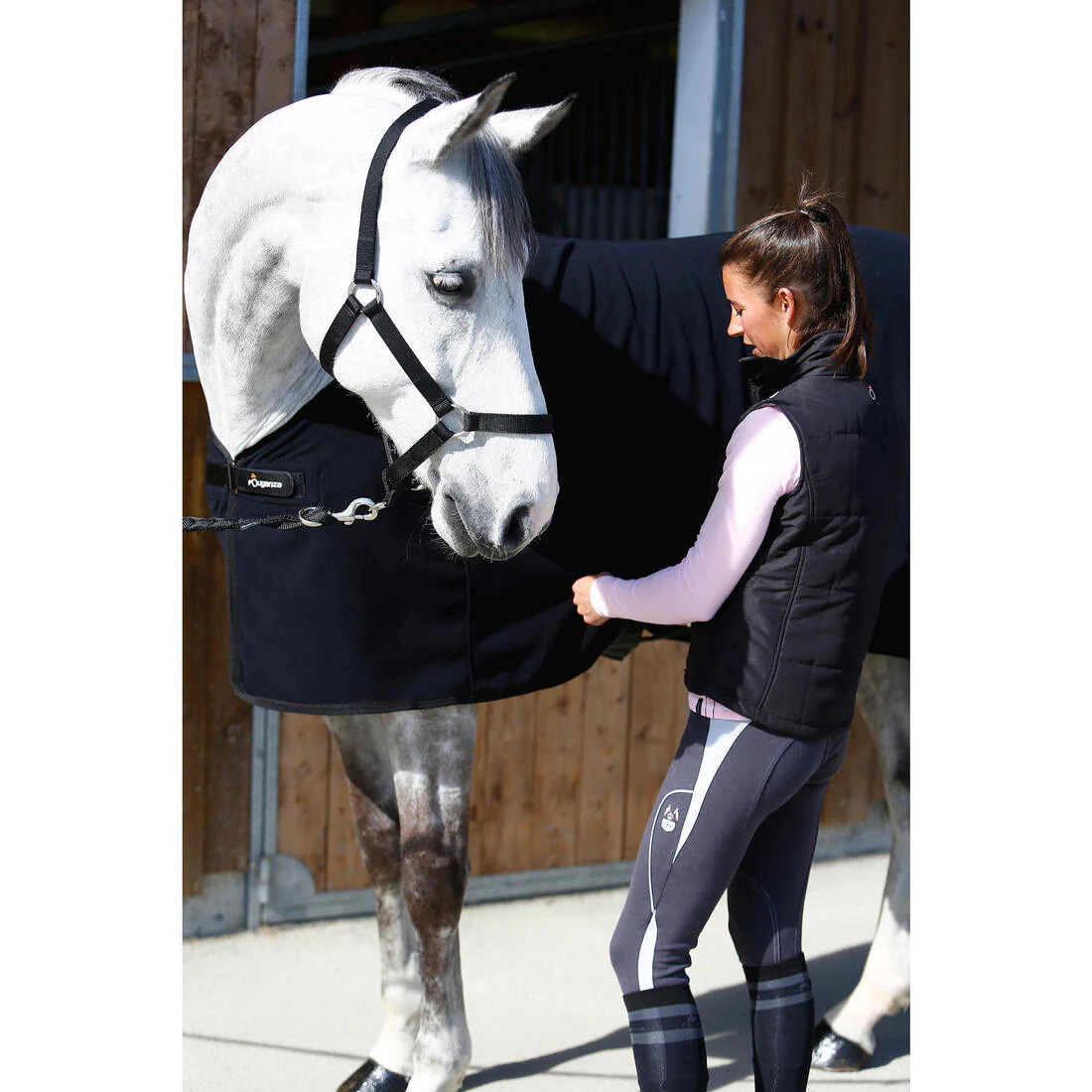 Schooling Horse Riding Halter for Horse and Pony - Image 28