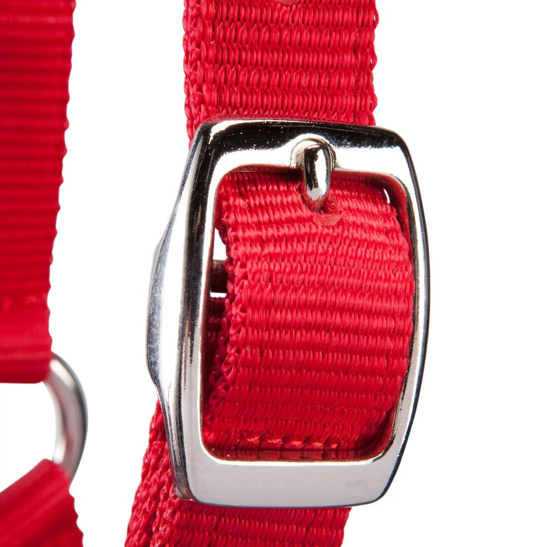 Schooling Horse Riding Halter for Horse and Pony - Image 3
