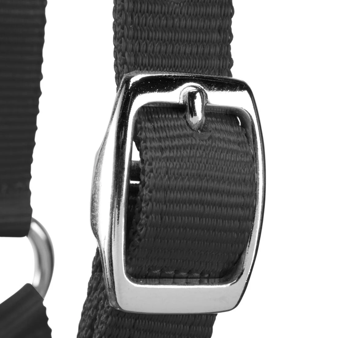 Schooling Horse Riding Halter for Horse and Pony - Image 4