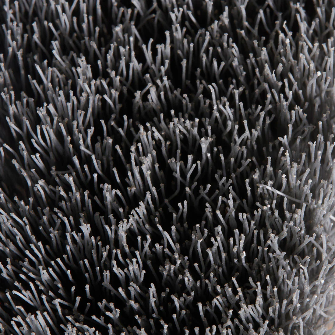 SHOE BRUSH - Image 3