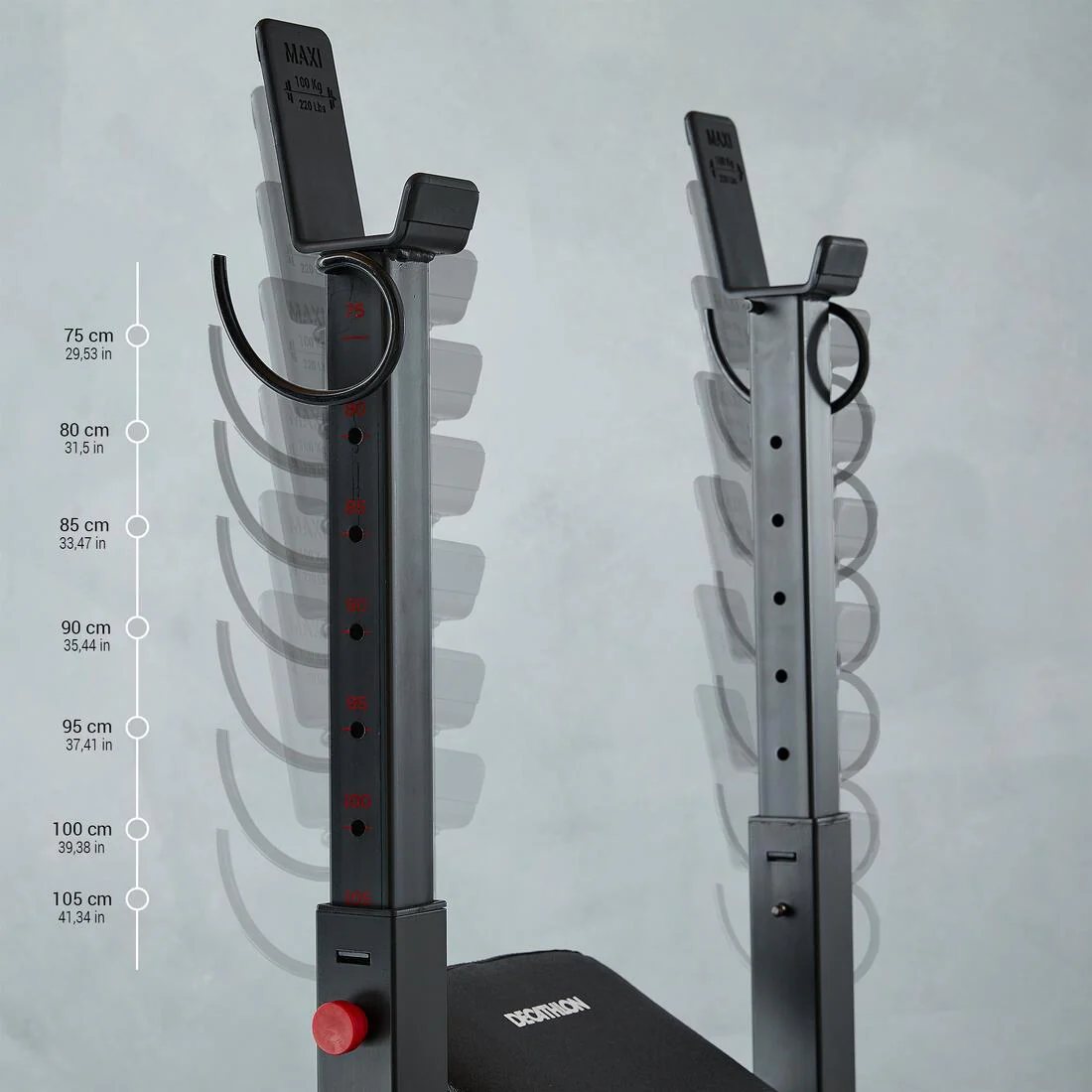 Tiltable Weights Bench with Collapsible Pegs - Bench Press Fold - Image 5
