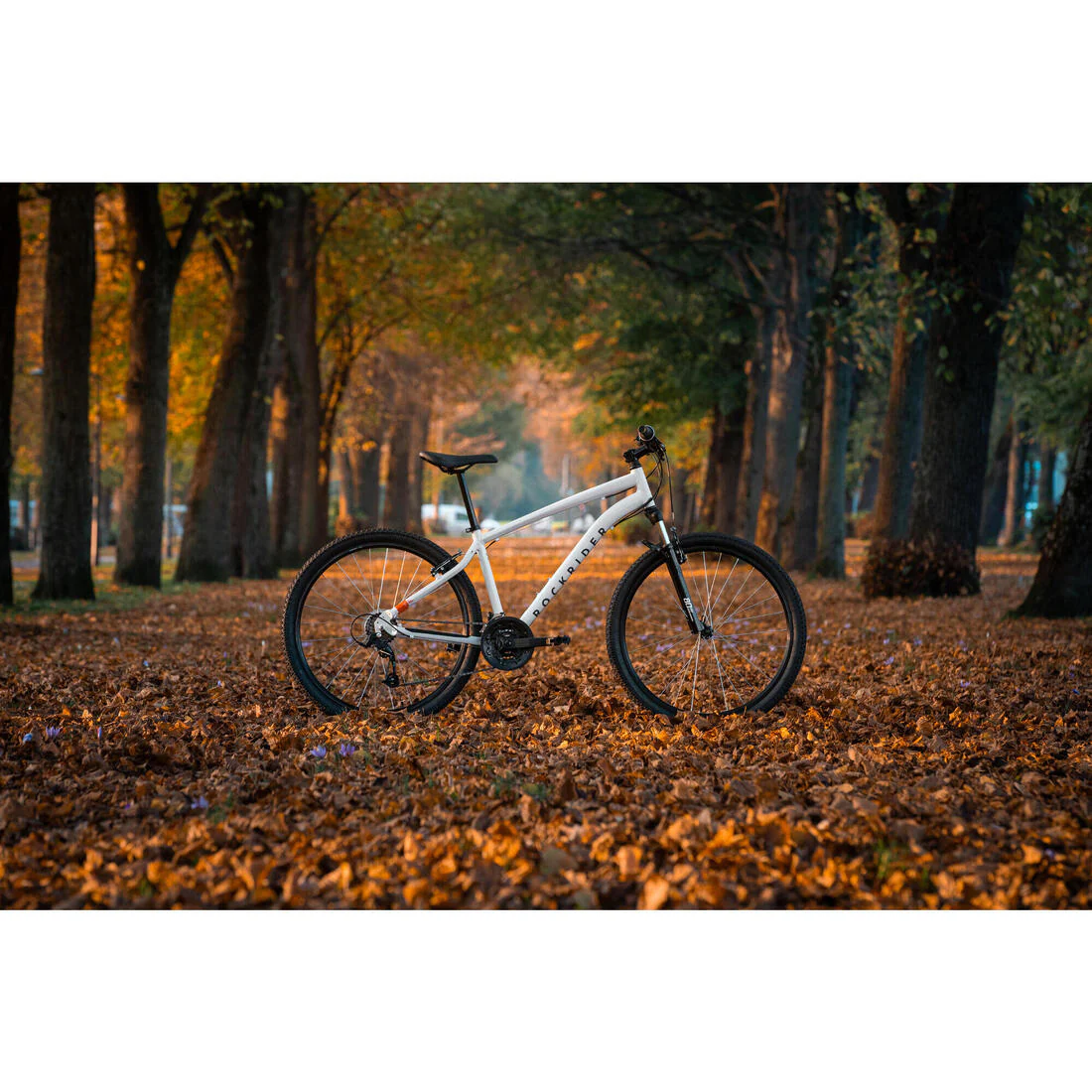 Touring Mountain Bike Expl 50 - Image 17