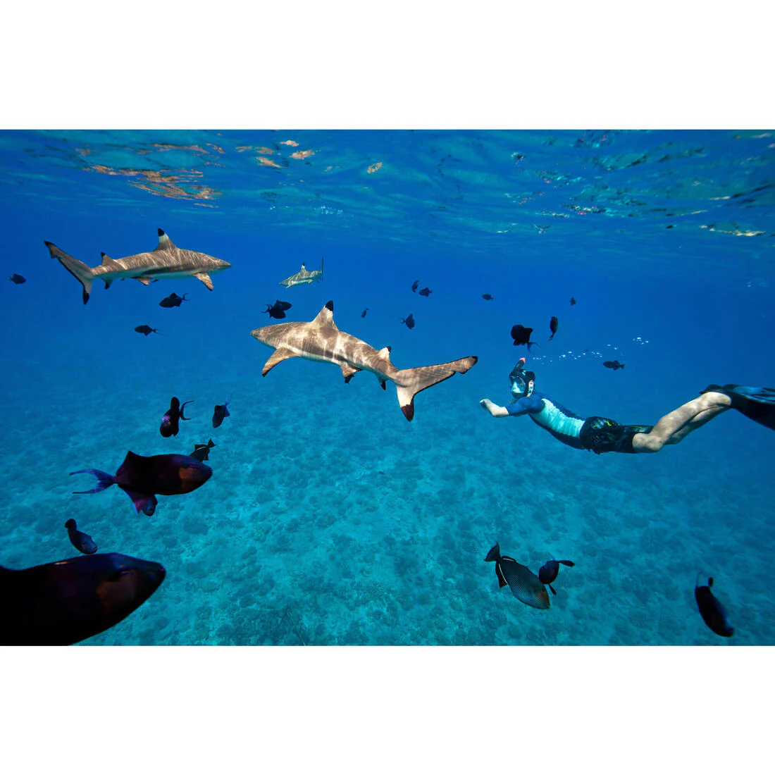 Underwater snorkelling mask Easybreath 900 - Image 29
