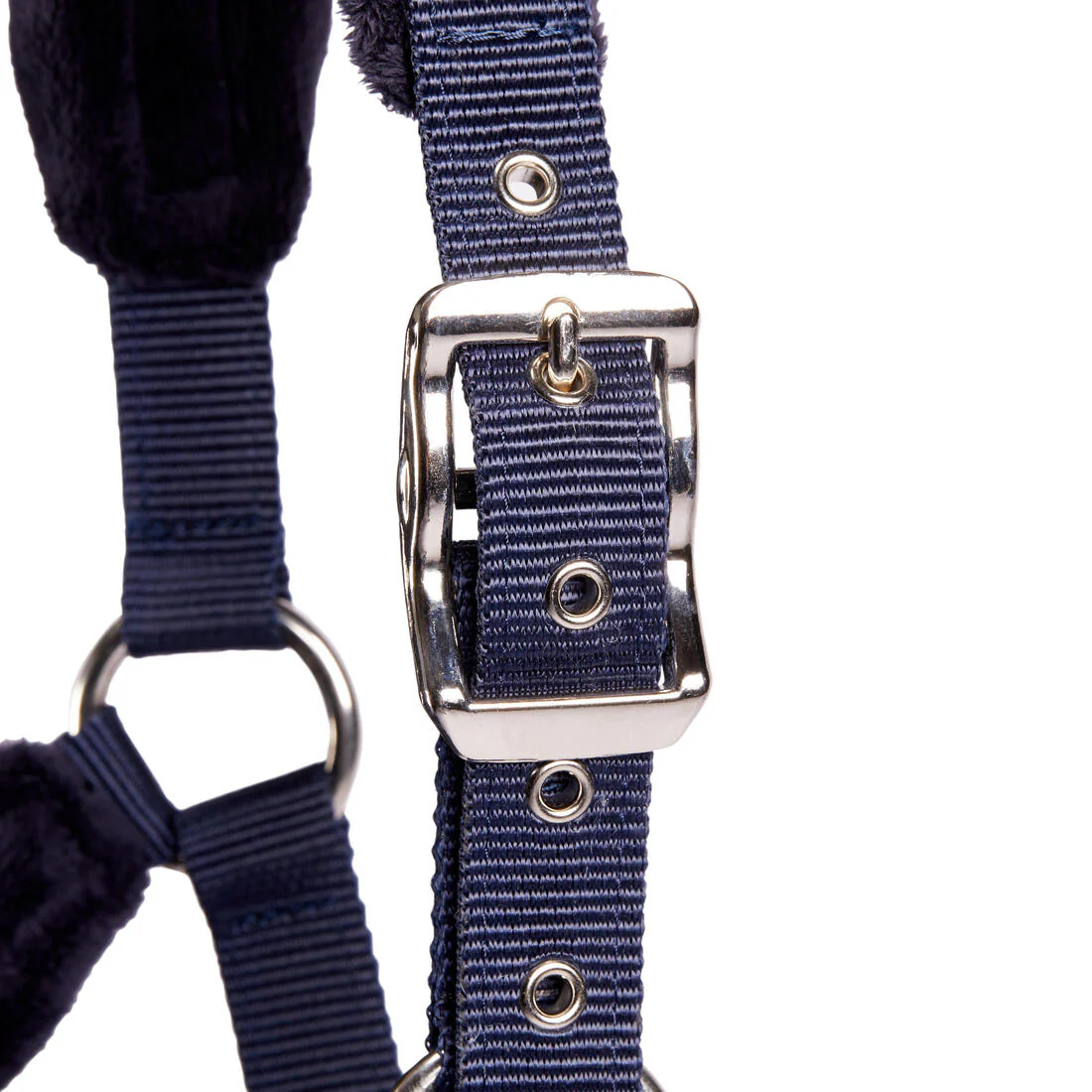 Winner Horse Riding Halter for Horse and Pony - Navy - Image 3