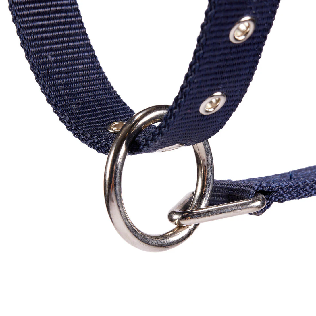 Winner Horse Riding Halter for Horse and Pony - Navy - Image 4