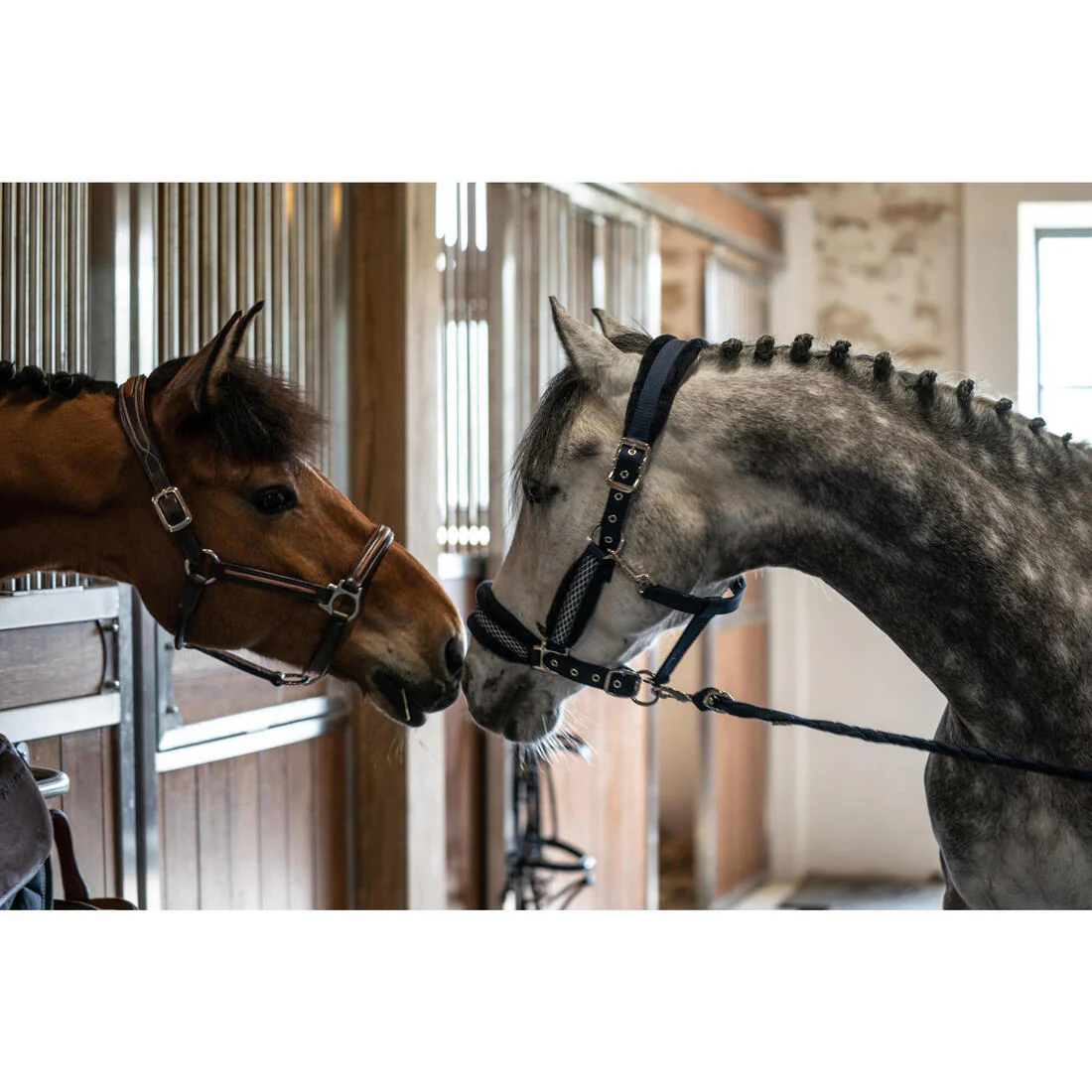 Winner Horse Riding Halter for Horse and Pony - Navy - Image 8