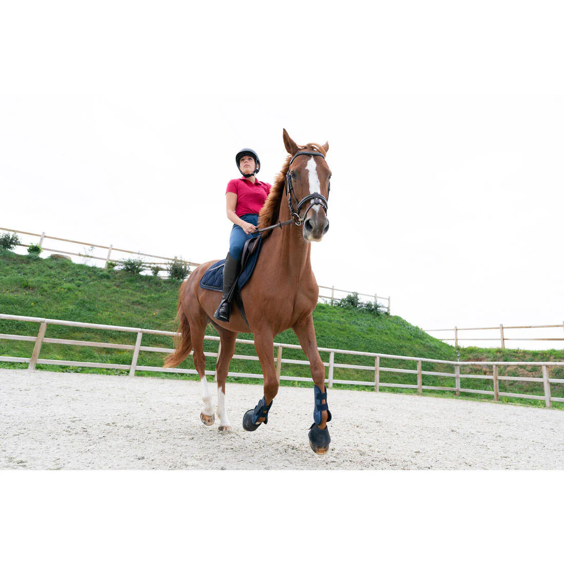 Women's Horse Riding Short-Sleeved Polo Shirt 100 - Image 11